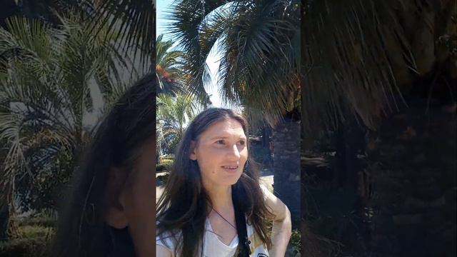 г. СОЧИ , ШИКАРНОЕ ЧЕРНОЕ МОРЕ И ПАЛЬМЫ , ЦВЕТУЩИЕ ДЕРЕВЬЯ РОЗОВЫМ , КАК САКУРЫ , 27.08.23г смотреть онлайн
