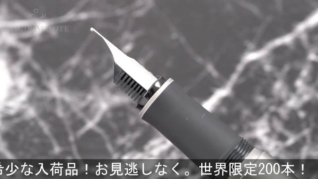 PORSCHE DESIGN ポルシェデザイン 万年筆 リミテッドエディション P'3105 ピュアチタニウム M