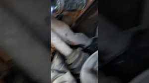 Стук подвески Фольксваген т4, болт тарсиона цейлинблока