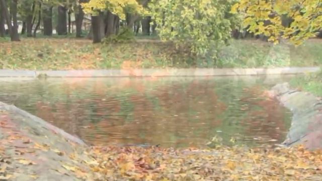 Андрей Емельянов - Я благодарю Вас... 89063425125 смотреть онлайн