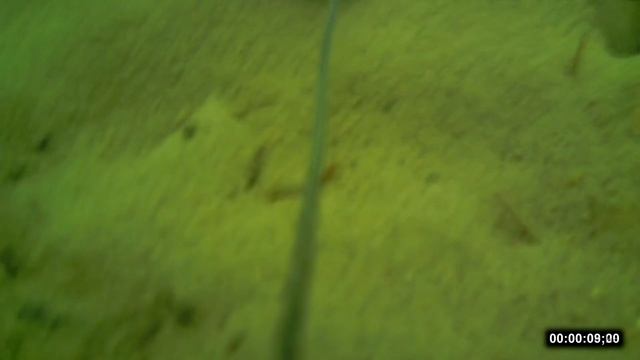 Ловля карпа на мини бойлы ЗИМОЙ подводная съёмка смотреть онлайн