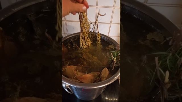 рецепт массажного масла с камфорнвм лавром, зверобоем от растяжек,антисептическим и лимфоэффектом смотреть онлайн