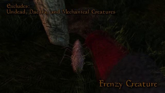 Illusion School of Magic | HitchHikers Guide to Morrowind смотреть онлайн