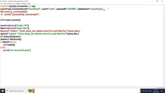 PARAMETERIZED QUERIES | HOW TO TAKE INPUT FROM USER | INTERFACE PYTHON WITH MYSQL | CBSE-XII | CS смотреть онлайн