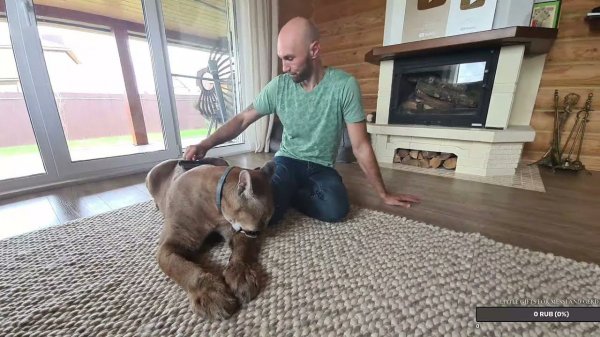 Прямой эфир.  13 июня