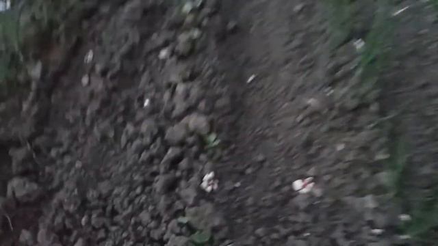 Вечер в Вербное воскресенье смотреть онлайн
