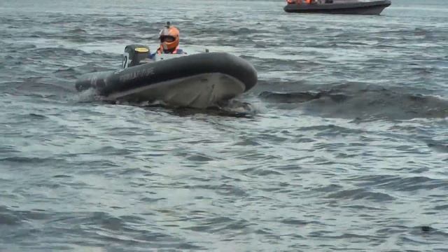 Маршрутная водно моторная гонка С Петербург Орешек 18 августа 2018 г смотреть онлайн