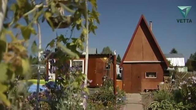 Дачные истории. В гостях у семьи Седининых смотреть онлайн