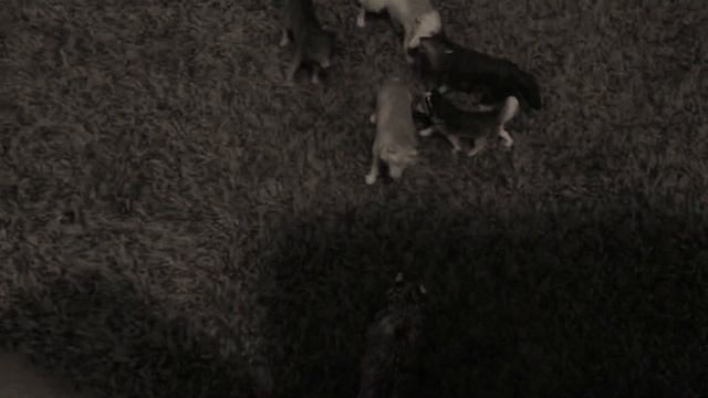 Jason attack pt1 смотреть онлайн