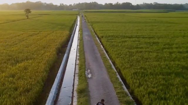 dji ryze tello 2023 смотреть онлайн