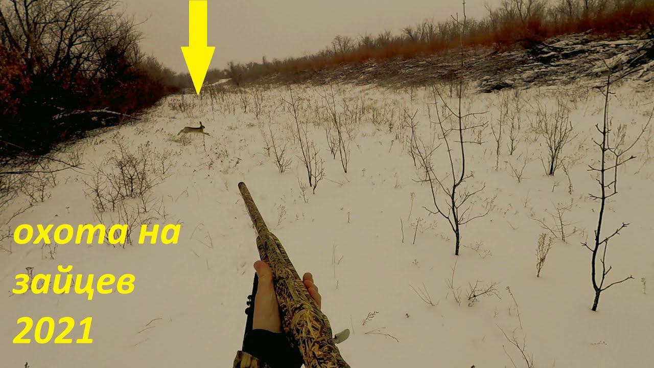 ОХОТА НА ЗАЙЦЕВ. БИТВА В ПОСАДКЕ. the hunting of the hare / MAX HUNTER смотреть онлайн