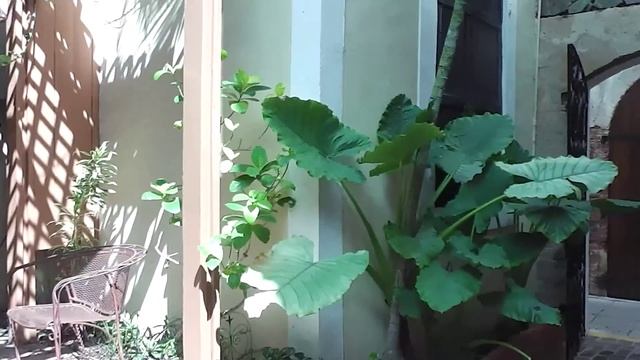 Walking Through Charlotte Amalie St. Thomas USVI