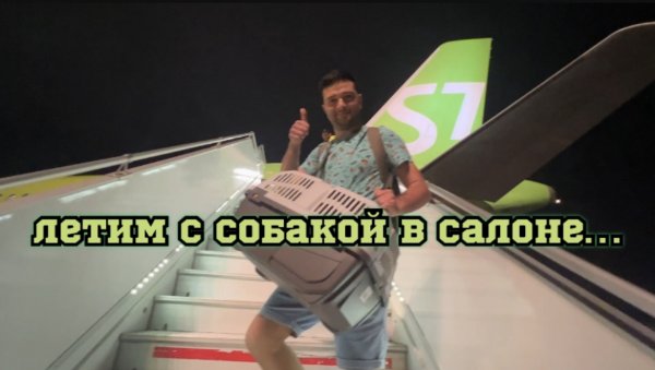 Перелёт домашнего животного в салоне самолета