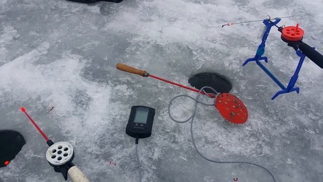 Флешер на эхолоте ЭР pro2 смотреть онлайн