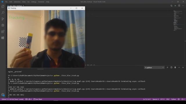 Real-time feature tracking and blurring with OpenCV смотреть онлайн