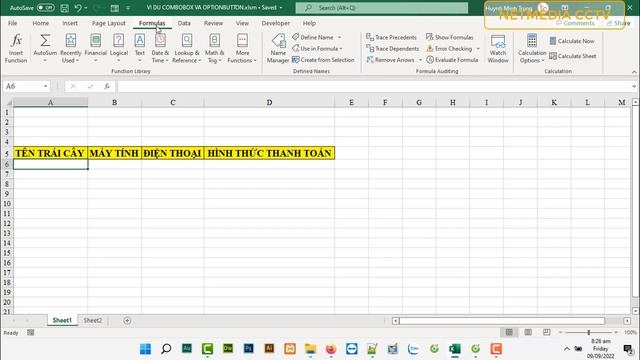 Form nhập liệu VBA Excel | Data Entry Form | Combobox - Optionbutton смотреть онлайн