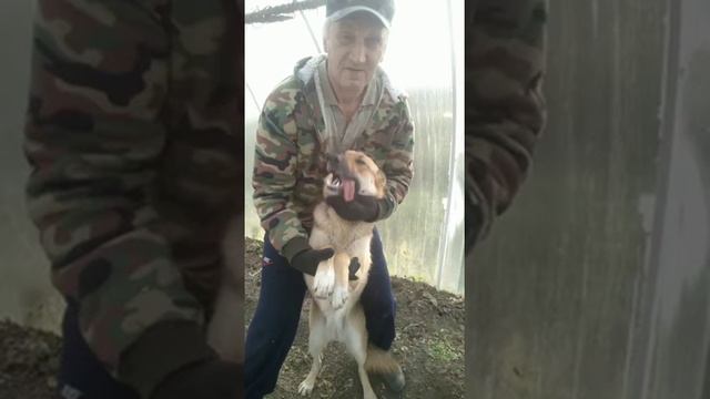 Как долго я тебя ждала ! смотреть онлайн