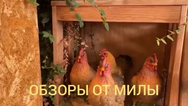 Деревенский дневник очень многодетной мамы Ольги Быковой. Обзор. смотреть онлайн