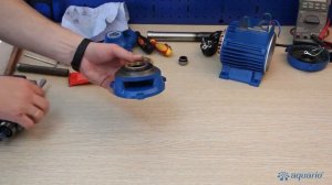 Как разобрать вихревой насос Aquario ADB?