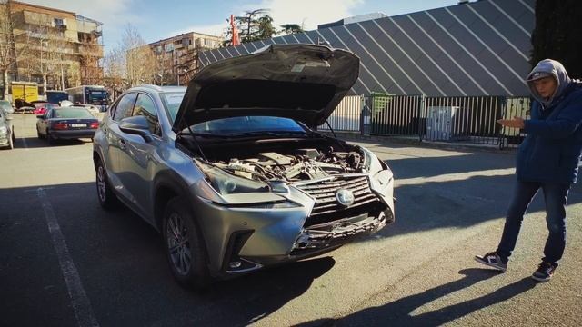 Пришел LEXUS NX 300 для клиента в РФ!! #Dauto #Дмитрийавтоподбор смотреть онлайн