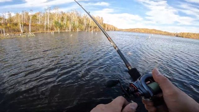 РЫБАЛКА НА БУРЕЙСКОМ ВОДОХРАНИЛИЩЕ СЕНТЯБРЬ 2022 / ЩУКА НА КАСТИНГ / РЫБАЛКА АМУРСКАЯ ОБЛАСТЬ смотреть онлайн