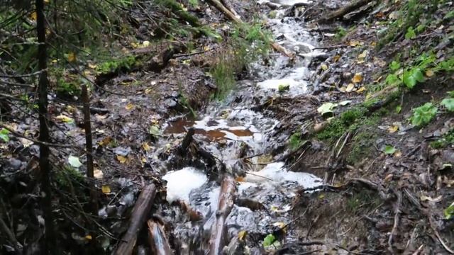 Берегом Белого моря на родину капитанов