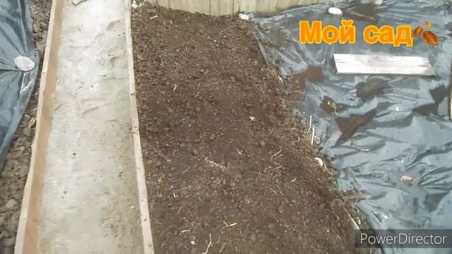 Морковь под зиму/ Готовлю грядку / Сроки посева смотреть онлайн