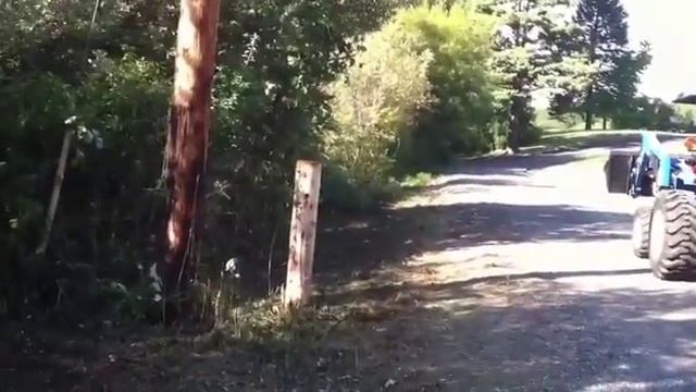 Косилка ORSI Farmer смотреть онлайн