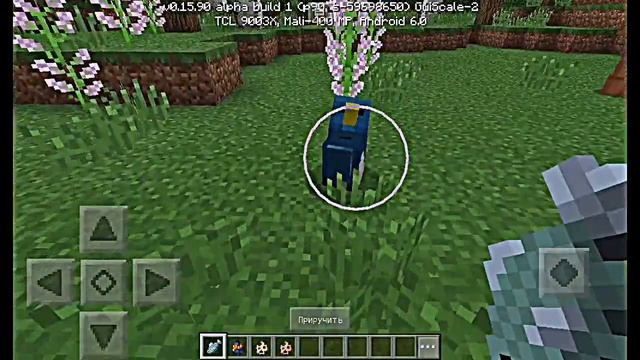 Я ПРИРУЧИЛ НАСТОЯЩЕГО ПИНГВИНА В MINECRAFT PE 0.16.0 !!! [ТЕКСТУРА] смотреть онлайн