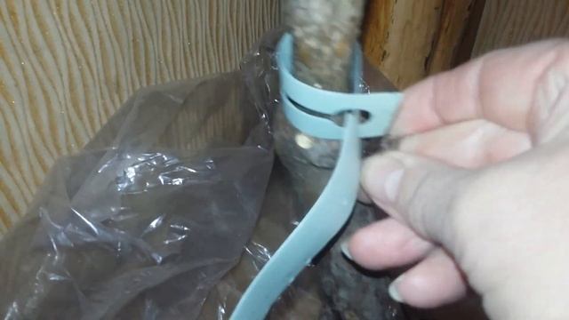 Роза на штамбе от Ленса. Ссылка на мой яндекс-дзен канал под видео. смотреть онлайн