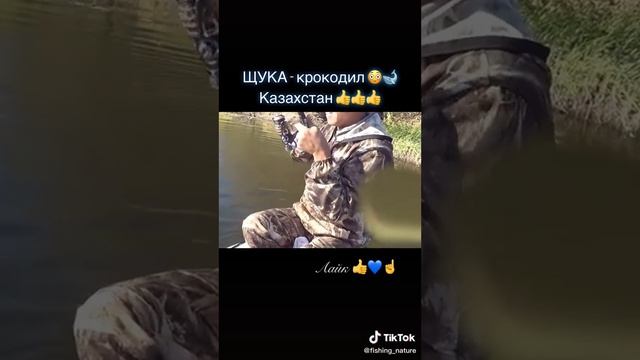 Щука - Крокодил в Казахстане. смотреть онлайн