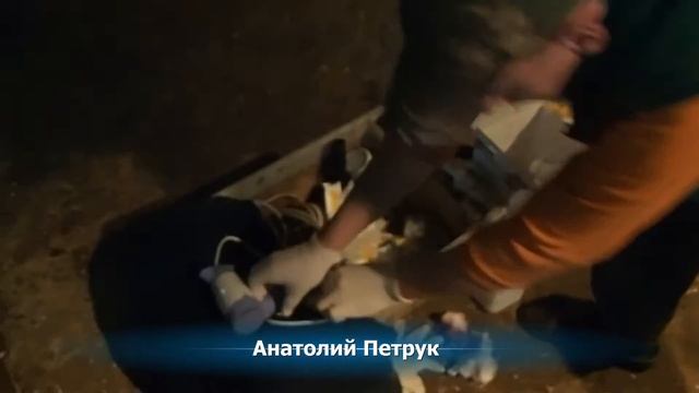 Клеем копытные колодки Технобаза 8000. By Clay hoof pads Tehnobaza 8000 смотреть онлайн