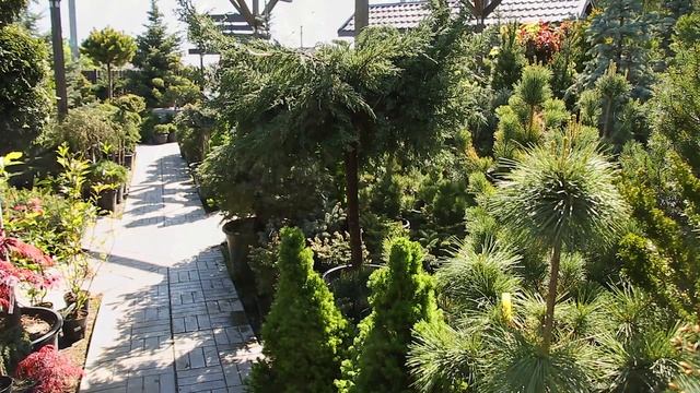 Садовый центр "Рестария" смотреть онлайн