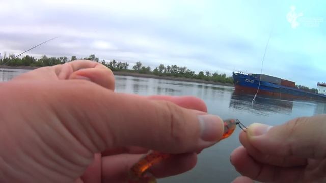 Ловлю КАРАСЯ на спиннинг БОЛЬШЕ ПОПЛАВОЧНИКА! смотреть онлайн