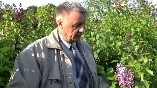 Творческая селекционная группа «Русская сирень» смотреть онлайн