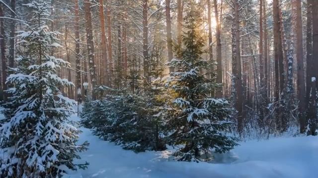 Путь к безверию. Признак истинного покаяния. Откровения афонских старцев. смотреть онлайн