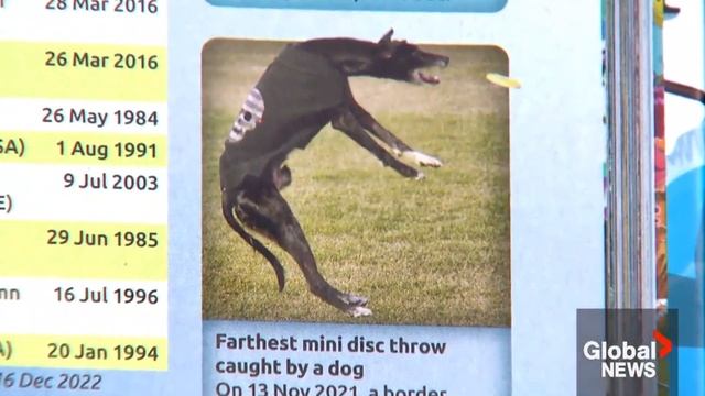 Calgary’s ‘Frisbee Rob’ makes new Guinness World Records book смотреть онлайн