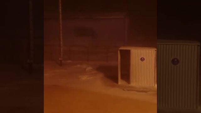 Артика) Белый и пушистый Песец ? смотреть онлайн