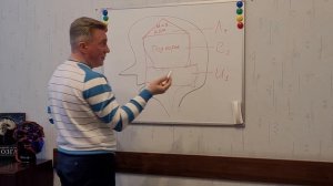 Как устроена психика человека