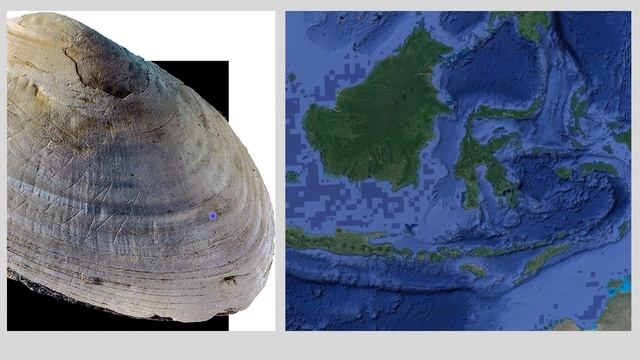 Trinil Shell: Java Man/Home Erectus смотреть онлайн