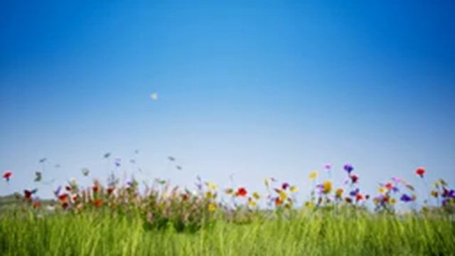 Отличная музыка, расслабляющая душа (танец цветов) !!! Сергей Грищук смотреть онлайн