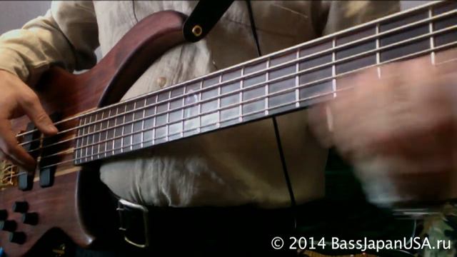 Peavey Cirrus 5 USA -= Walnut Vs Alder =- BassJapanUSA.ru