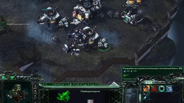 Разминка и старкрафт смотреть онлайн