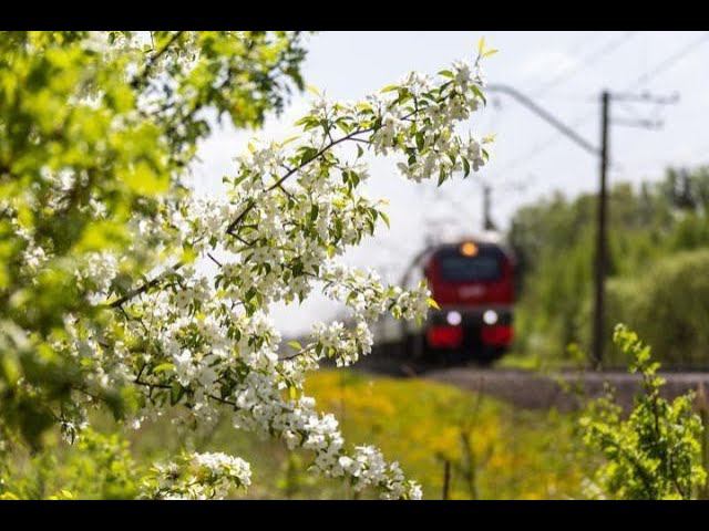 Дополнительные поезда из Екатеринбурга, Тюмени и Перми назначены на майские праздники на СвЖД смотреть онлайн