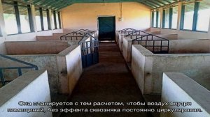 Строим свинарник на 2 головы своими руками