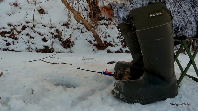 Ловля живца. Голавль на поставушку. Рыба Разгибает крючки! Бузулучка. 20 января 2018 смотреть онлайн