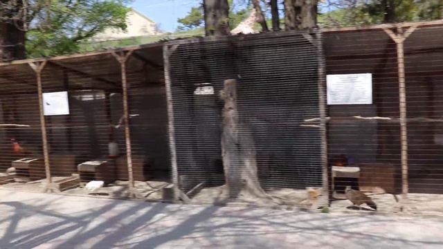 Красивючие Рыси. Бахчисарайский парк миниатюр. смотреть онлайн