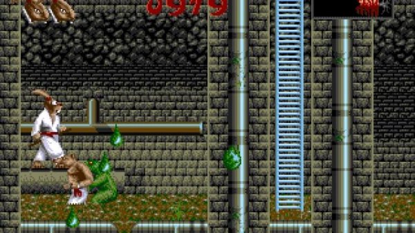 Ninja Rabbits Longplay (Amiga) [50 FPS]