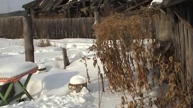 В шкуре... (сельская короткометражка) смотреть онлайн