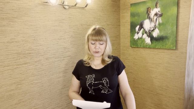 Вопрос - Ответ Выпуск 2 / Все о китайских хохлатых / Видео по вашим вопросам смотреть онлайн